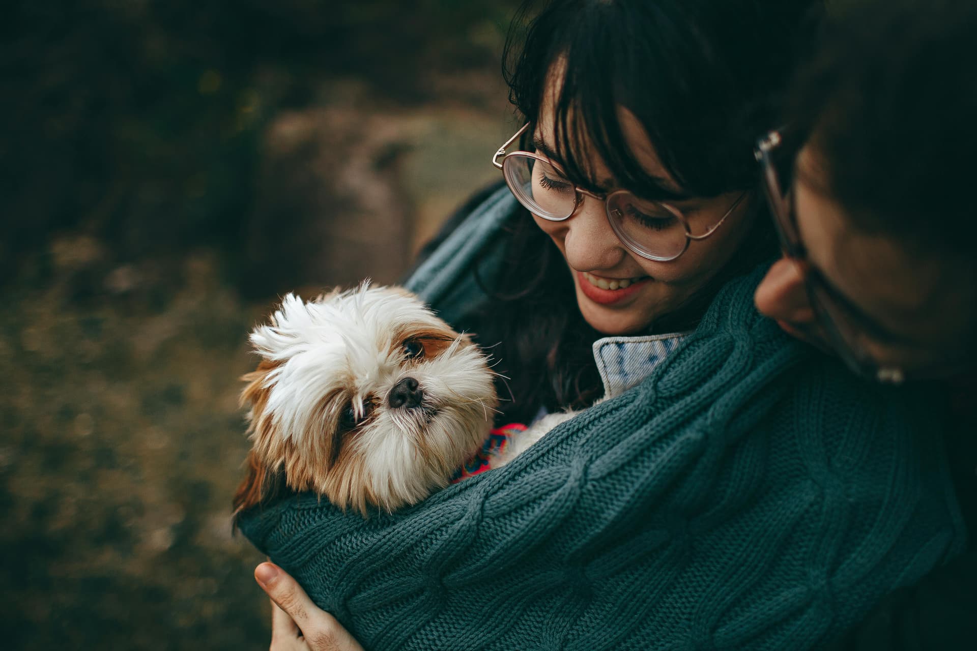 Pet Insurance in 2026: Protect Your Budget