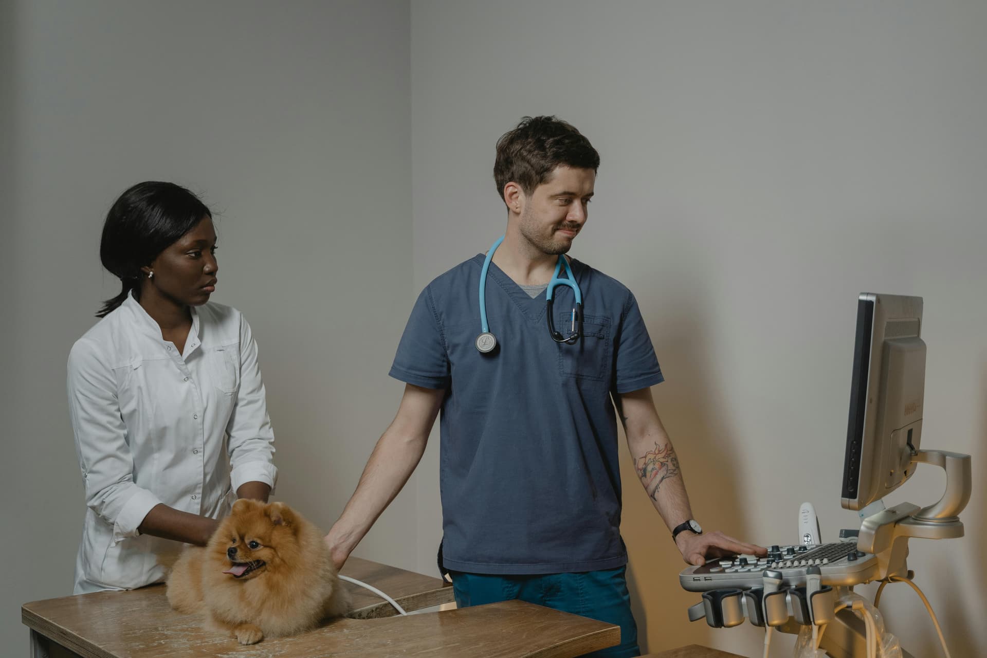 How Much Is a Dog Vet Visit Without Insurance in 2025?